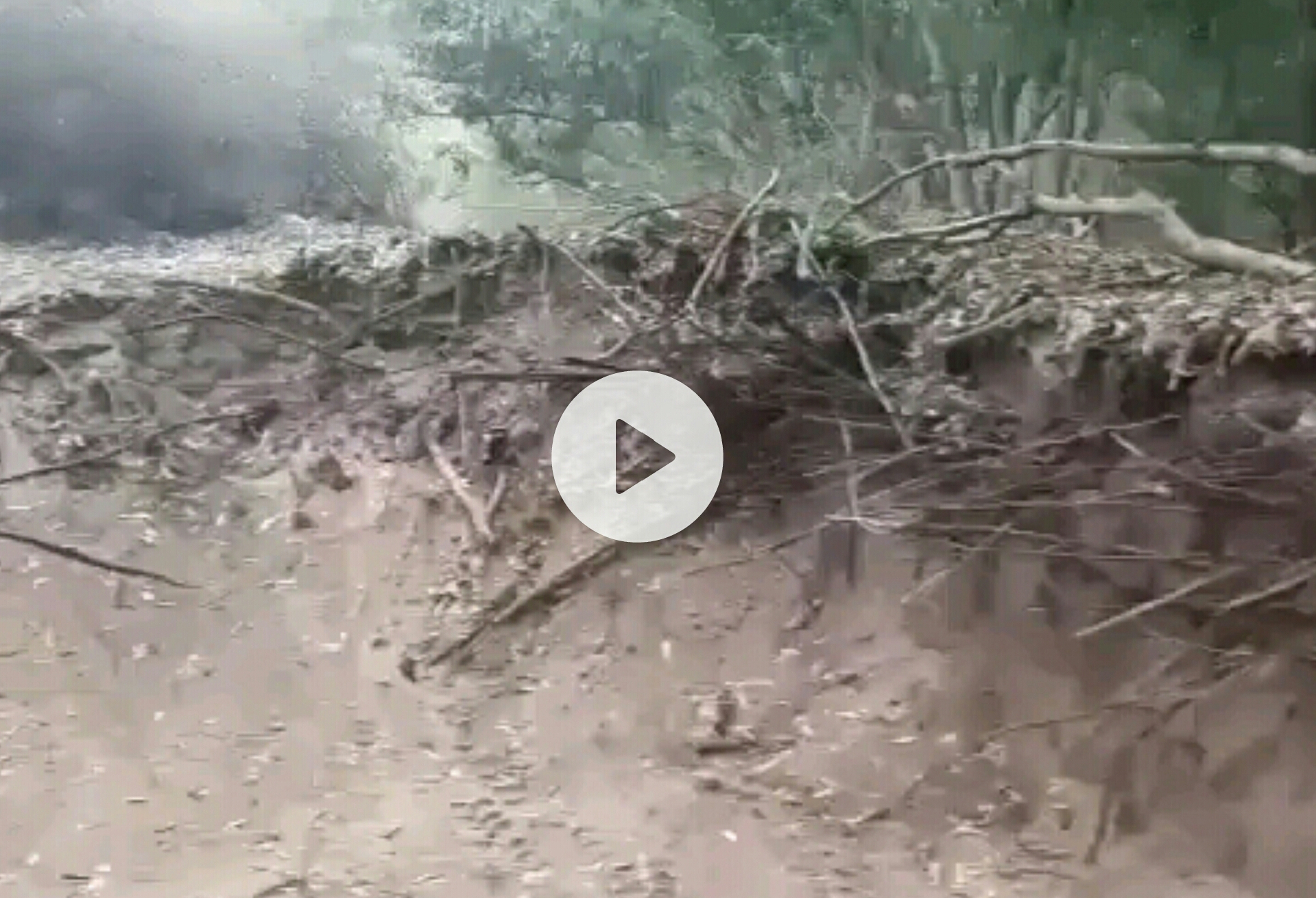 مواطنون يحتجون على تدمير البيئة ومنعهم من ممارسة الرياضة بغابة الحوزية