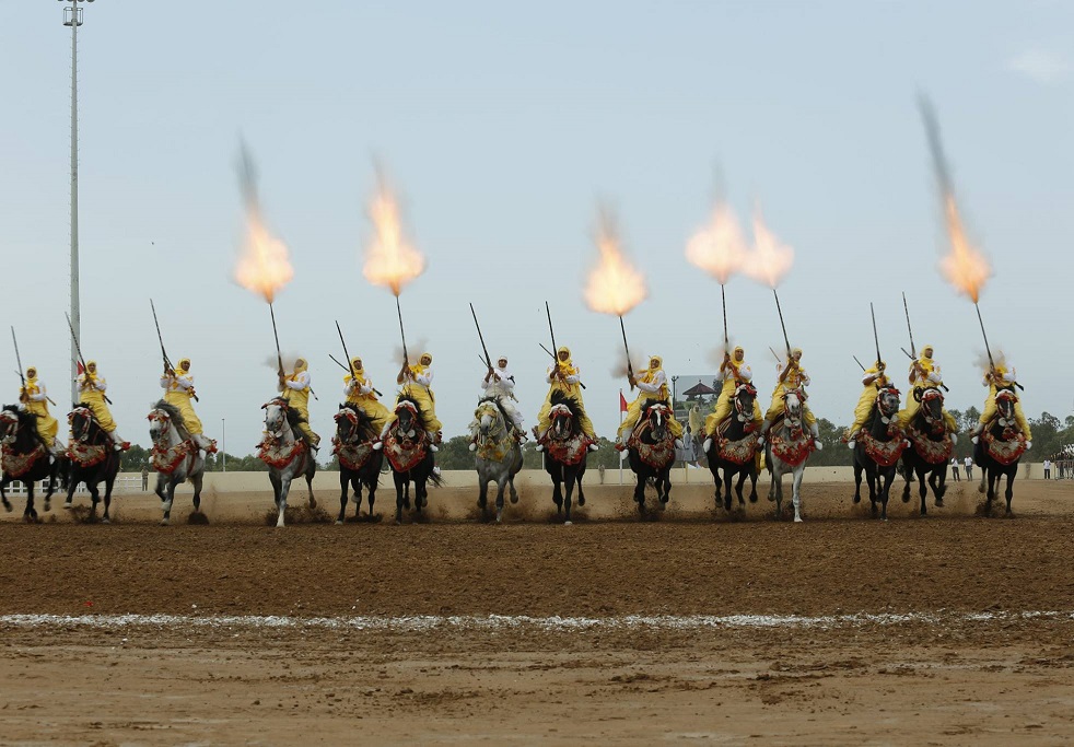 الجديدة: فنون الفروسية التقليدية