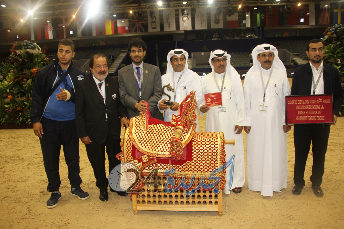 بالصور.. اختتام البطولة الدولية لجمال الخيول العربية الأصيلة  بمعرض الفرس بالجديدة