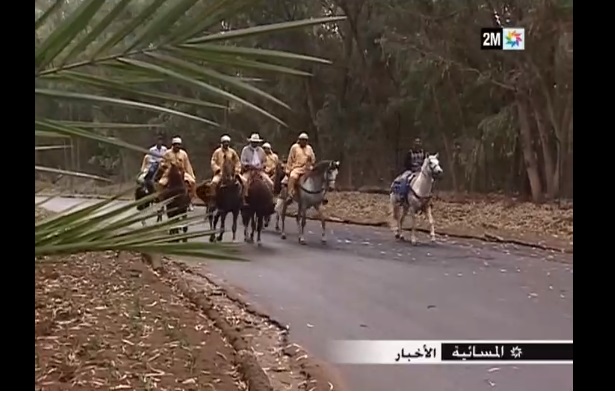 ''خيالة'' قطعوا مسافة 460 كلم من خنيفرة إلى الجديدة للمشاركة في مهرجان التبوريدة
