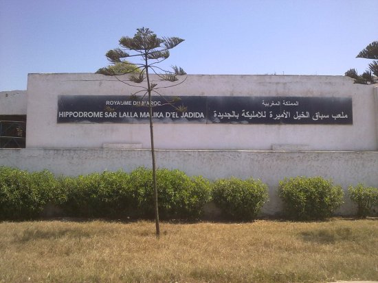 جماعة الجديدة تتجه الى تحسين مداخيلها بكراء ملعب الخيل لالة مليكة الى الشركة الملكية لشجيع الفرس