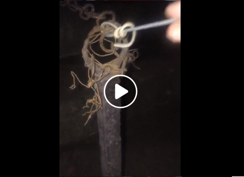 سائح مغربي من ديار المهجر يفضح المسؤولين عن السياحة من داخل مسقاة الحي البرتغالي بالجديدة