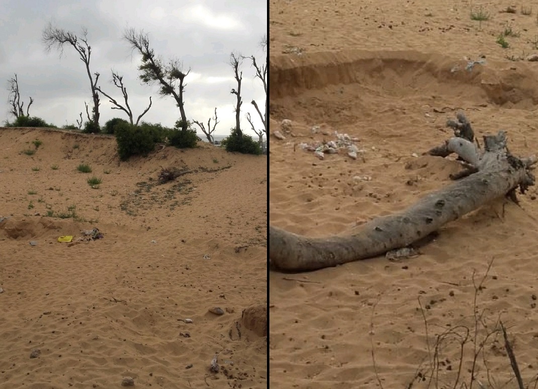 مواطن يطالب بإيفاد لجنة إقليمية لكشف فضائح سرقة الرمال من أرضه بسيدي عابد
