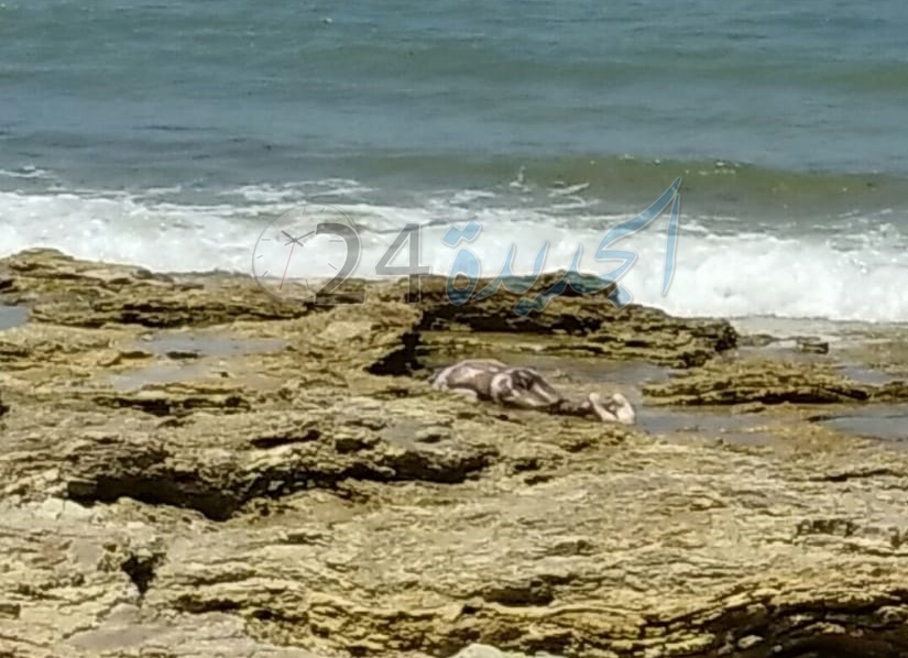 بالصورة.. مياه الشاطئ الصخري بالجديدة تلفظ جثة متحللة لمواطن أفريقي