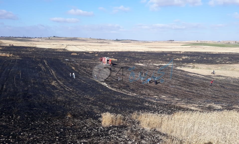 بالصور.. النيران تلتهم عشرات الهكتارات الزراعية بضواحي الجديدة