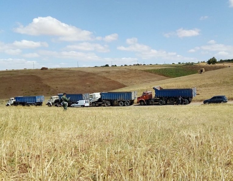 اعتقال والدة المستشار الجماعي المتهم بعرقلة ''مشاريع الدولة'' بأولاد افرج