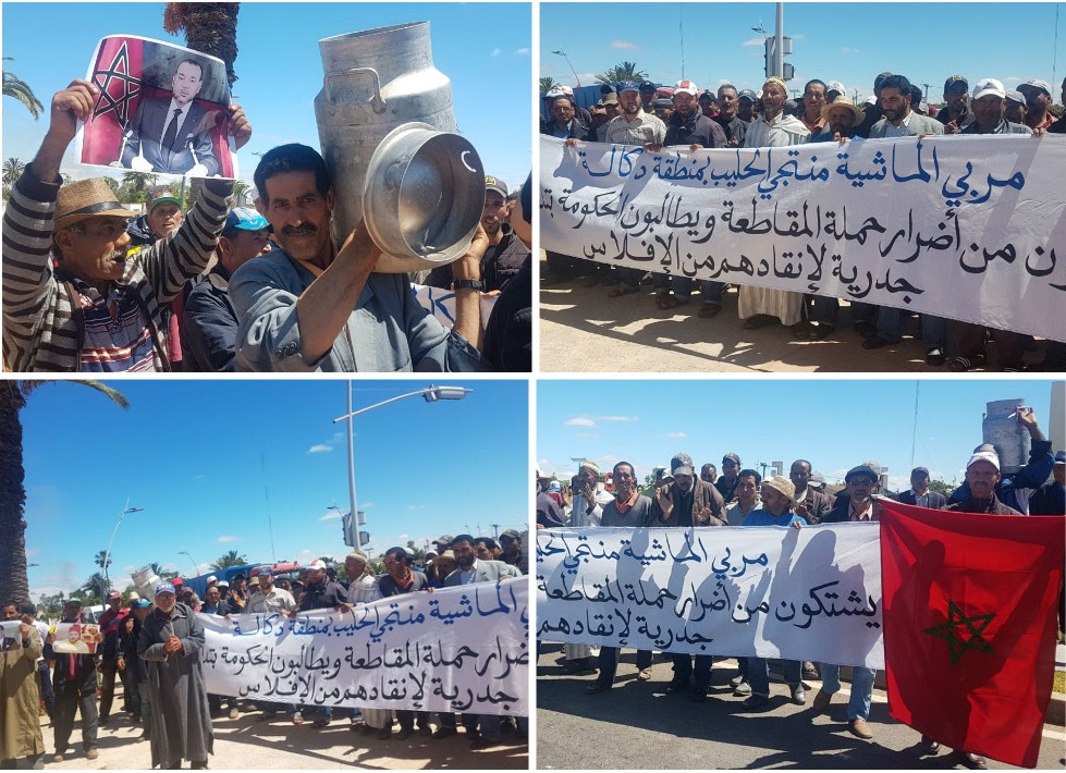 فلاحون متضررون من ''المقاطعة'' يحتجون أمام عمالة إقليم سيدي بنور + فيديو