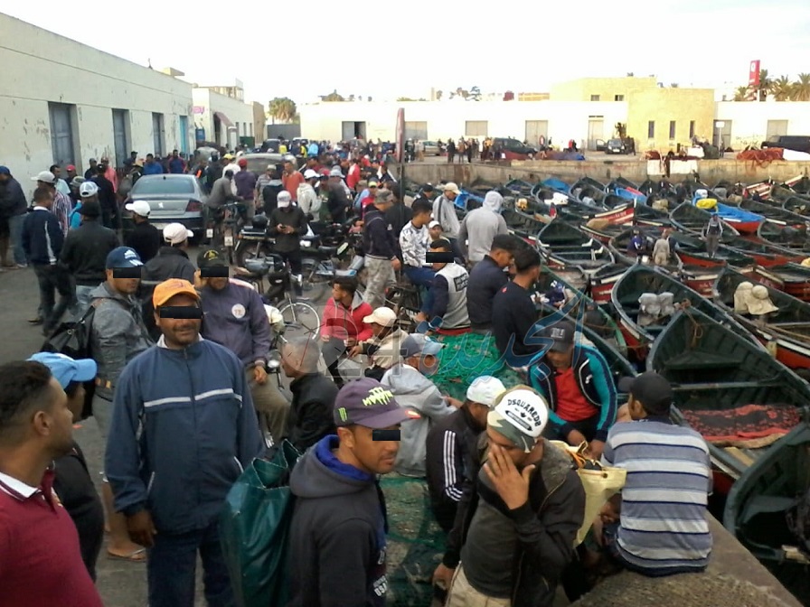 مهنيو الطحالب البحرية يبدأون إضرابا شاملا مع انطلاق موسم جني الطحالب ياقليم الجديدة