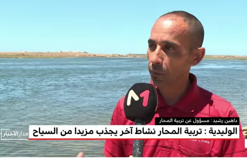 روبورتاج من الوليدية .. تربية المحار نشاط يجذب مزيدا من السياح (ميدي 1 تي في)