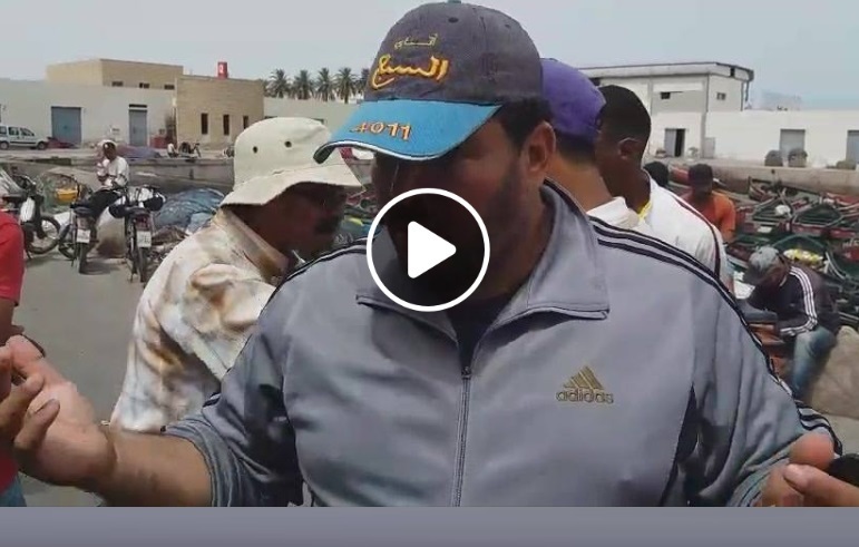 مهنيو جني الطحالب البحرية يواصلون الاضراب ويجددون مطالبهم بالرفع من ثمن المنتوج