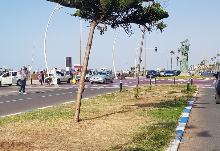 الاعلان عن فوز شركة بصفقة صيانة المساحات الخضراء بالجديدة بقيمة 200 مليون سنتيم