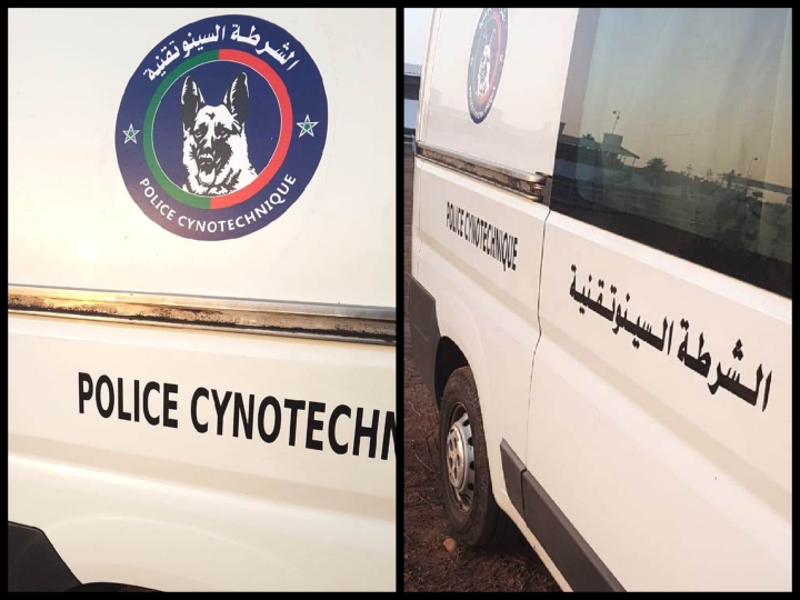 الشرطة السينوتقنية تؤمن النسخة الثامنة لمهرجان جوهرة الدولي بالجديدة