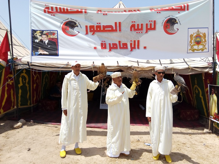 الجمعية القاسمية الحسنية لتربية الصقور بالزمامرة تعاني إكراهات