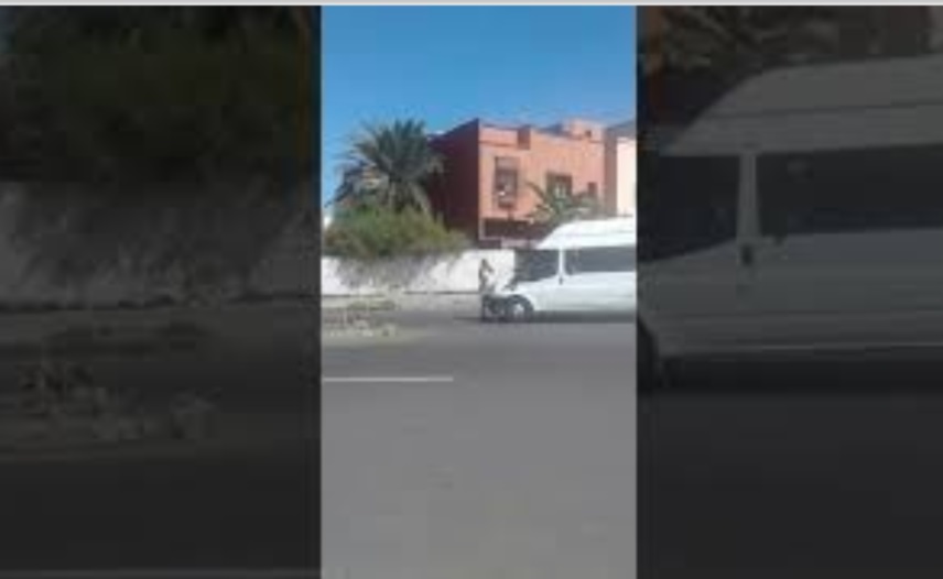 ''مقرقب'' يعترض سبيل حافلة لنقل المستخدمين بالجديدة ويهشم  زجاجها ويرسل سائقها إلى المستشفى + فيديو