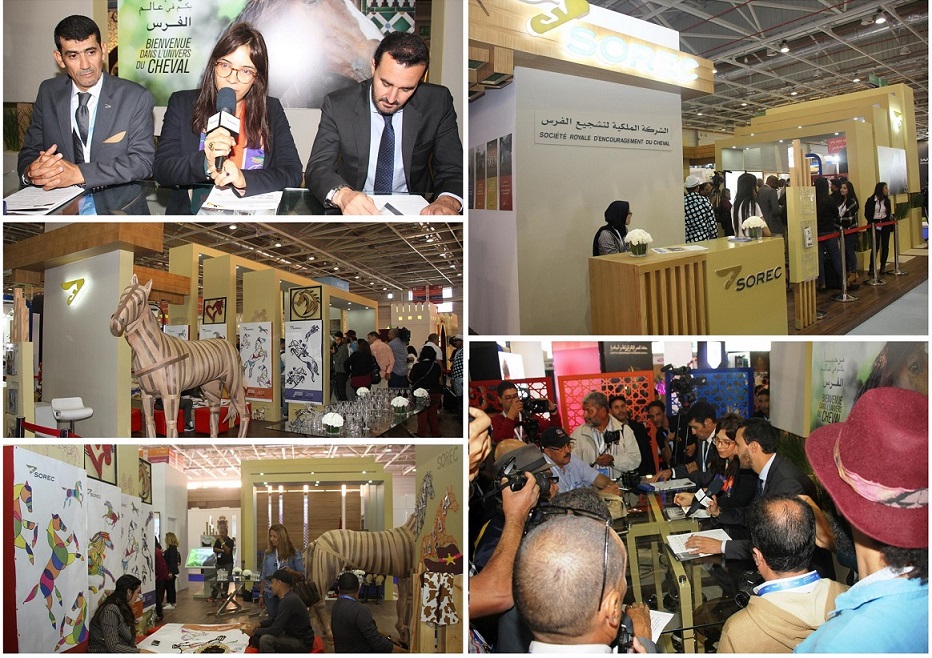 الشركة الملكية لتشجيع الفرس  SOREC تستقبل وفدا من الإعلاميين بمعرض الفرس بالجديدة
