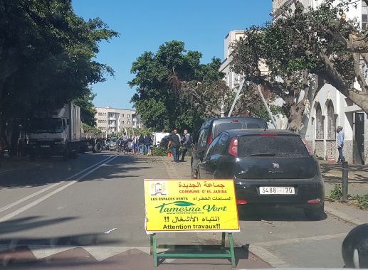 شركة ''تامسنا الخضراء'' تعيد الروح إلى المساحات الخضراء بمدينة الجديدة