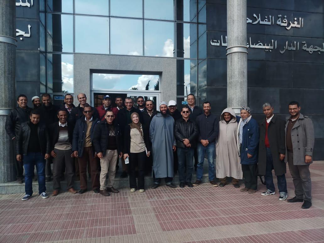 مهنيون بجهة البيضاء سطات يؤسسون بالجديدة ''الجمعية المغربية لتحسين سلالات النحل''