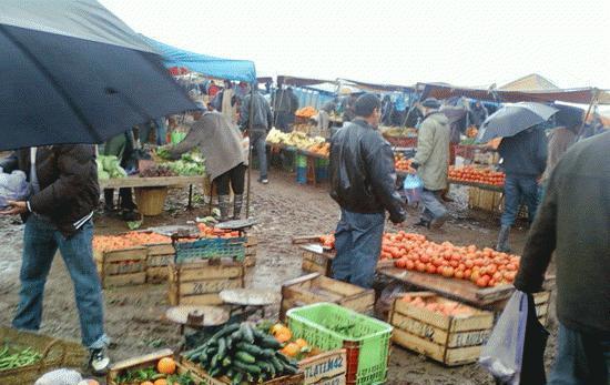 السلطات تصدر قرارا بالاغلاق الجزئي للاسواق الأسبوعية باقليم سيدي بنور بعد انتشار وباء الحمى القلاعية