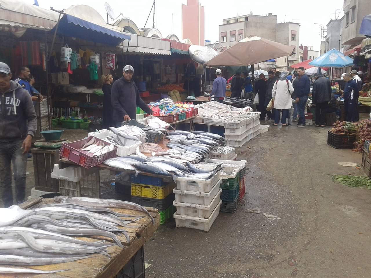 عمالة الجديدة تحدث أرقاما هاتفية للتبليغ عن اي تلاعبات تخص تموين الأسواق او الاسعار خلال شهر رمضان