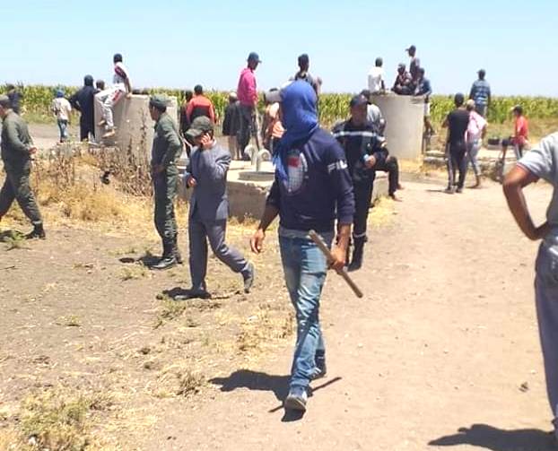 خطير.. حرب المراعي التي أشعلها الرحل بمنطقة عبدة تخلف ضحايا في صفوف الدرك والأهالي