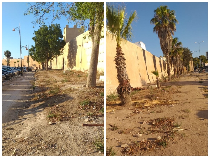 حقوقيون يستنكرون في رسالة مفتوحة الوضع البيئي الكارثي لمدينة أزمور التاريخية