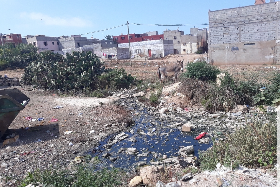 سكان  دوار الهواورة  بجماعة مولاي عبد الله يستعدون لتنفيذ وقفات احتجاجية لتحقيق مطلبهم  في اعادة الهيكلة