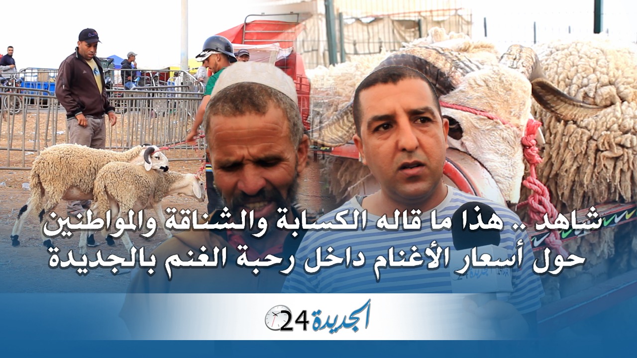 من داخل رحبة الغنم بالجديدة.. هذا ما قاله الكسابة والمواطنون حول أسعار الاغنام