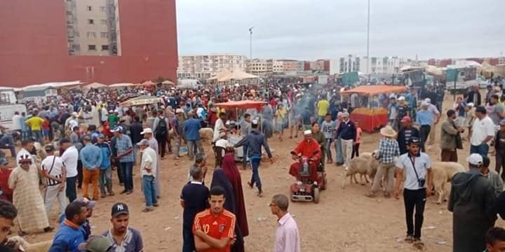 ارتفاع أسعار  الأضاحي بالجديدة والكسابة يرجعونها الى غلاء الأعلاف والتكاليف