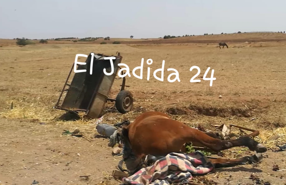 وفاة سائق عربة مجرورة ونفوق فرس في حادثة سير مفجعة قرب اولاد فرج