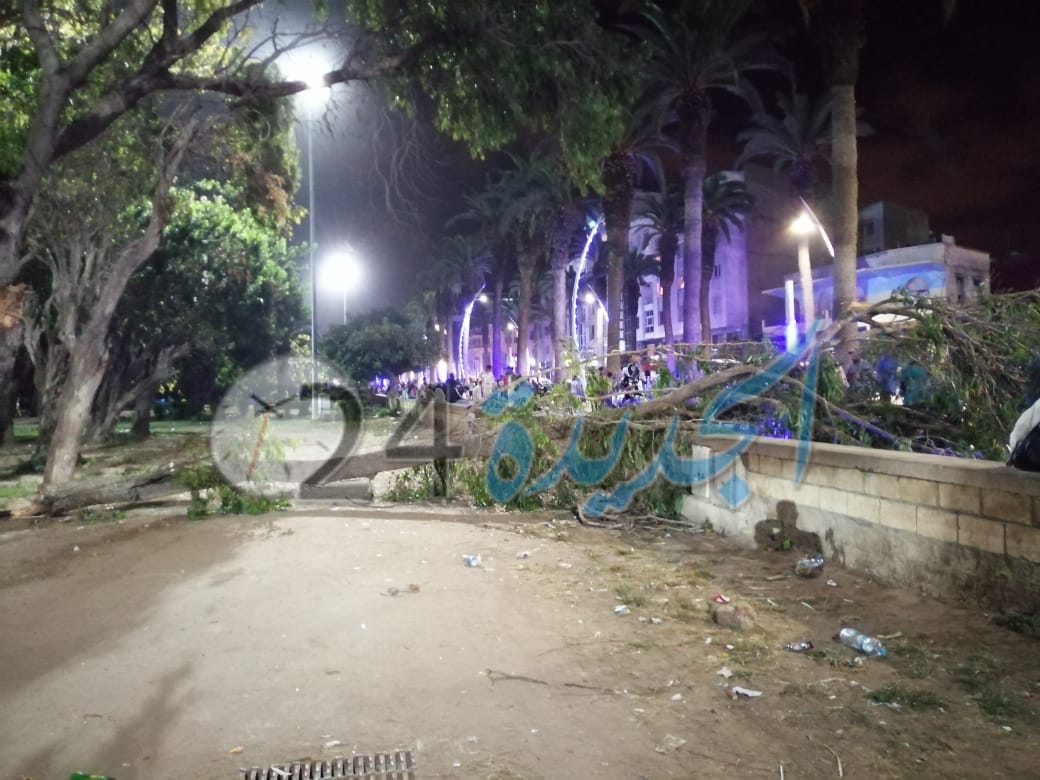 سقوط شجرة بحديقة محمد الخامس يرسل امراة الى قسم المستعجلات بالجديدة