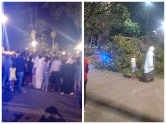 ادخال السيدة التي تعرضت لحادث سقوط شجرة الى قسم الانعاش وعامل الجديدة يدخل على الخط