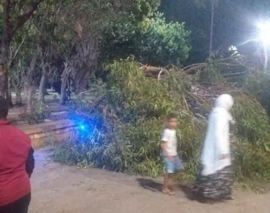 جماعة الجديدة تتكفل بنقل جثمان ضحية سقوط الشجرة الى مسقط رأسها بمراكش