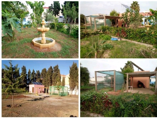 المجمع الشريف للفوسفاط يدعم مشروع المدارس الإيكولوجية باقليم الجديدة