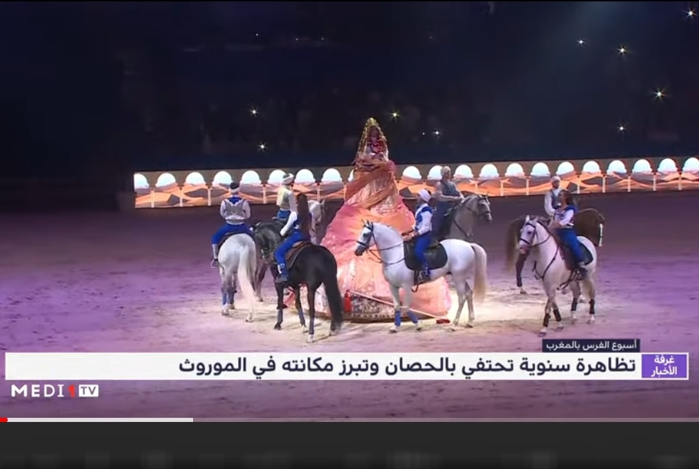 معرض الفرس.. تظاهرة سنوية تحتفي بالحصان وتبرز مكانته في الموروث (قناة ميدي 1 تي في)