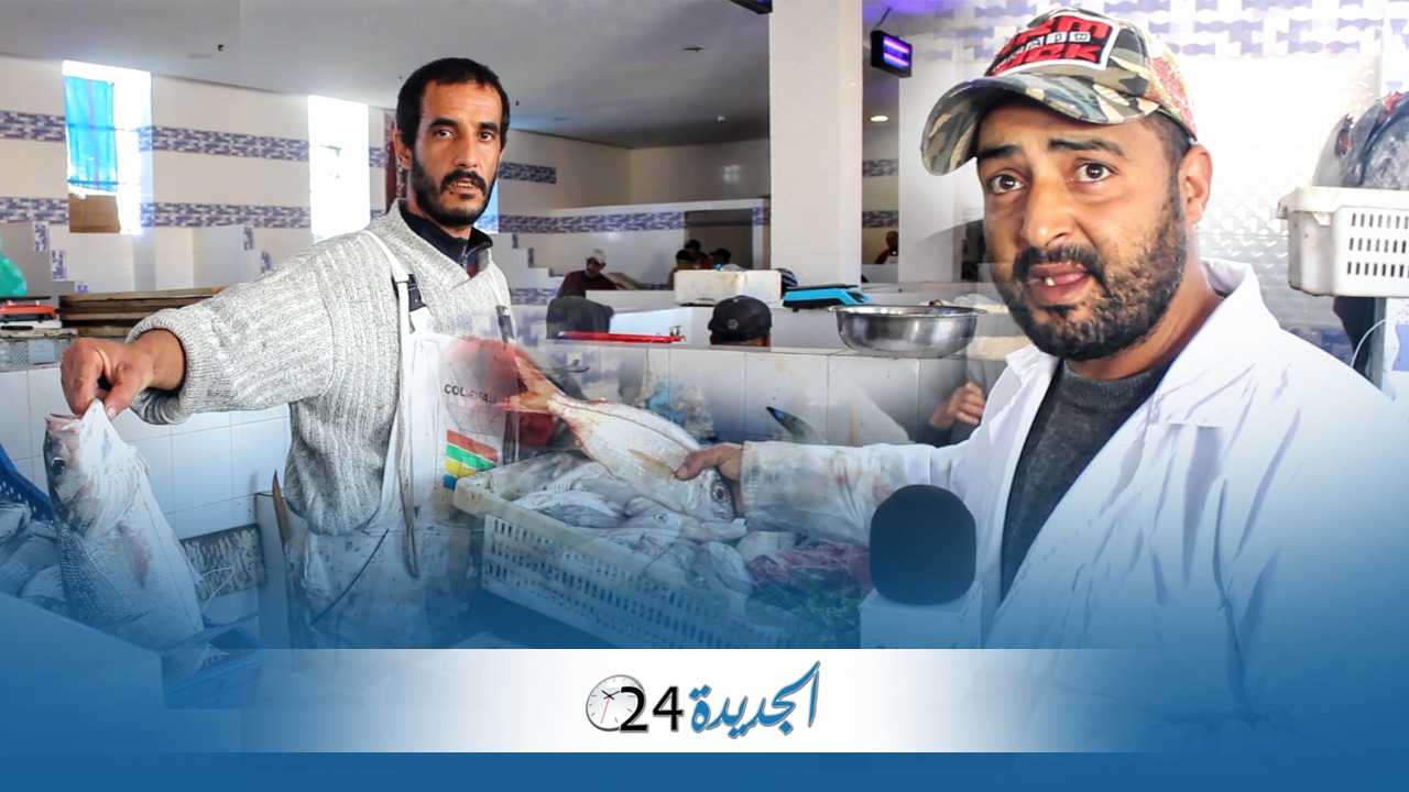تجار السوق الجديد للسمك بساحة البريجة: نبيع أسماك جديدة واثمنتنا هي الأفضل بأسواق الجديدة