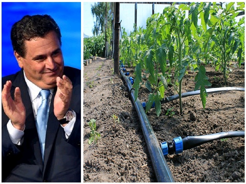 مهنيو قطاع السقي بالتنقيط بدكالة بهاجمون 'أخنوش' ويطالبون بإسقاط مذكرته الوزارية ''المشؤومة''