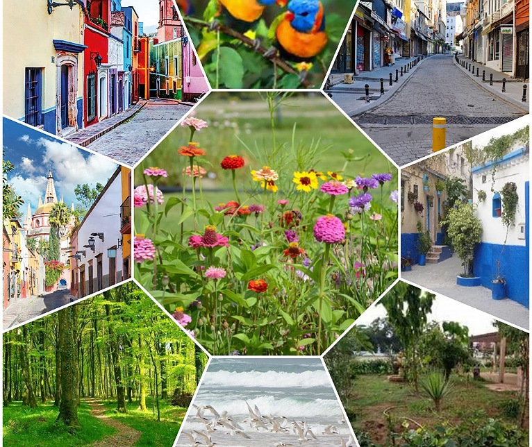 المراحيض العمومية والحاويات تحت الأرضية.. من اهم مشاريع جمعيات الأحياء بالجديدة المقترح انجازها بشراكة مع الفوسفاط