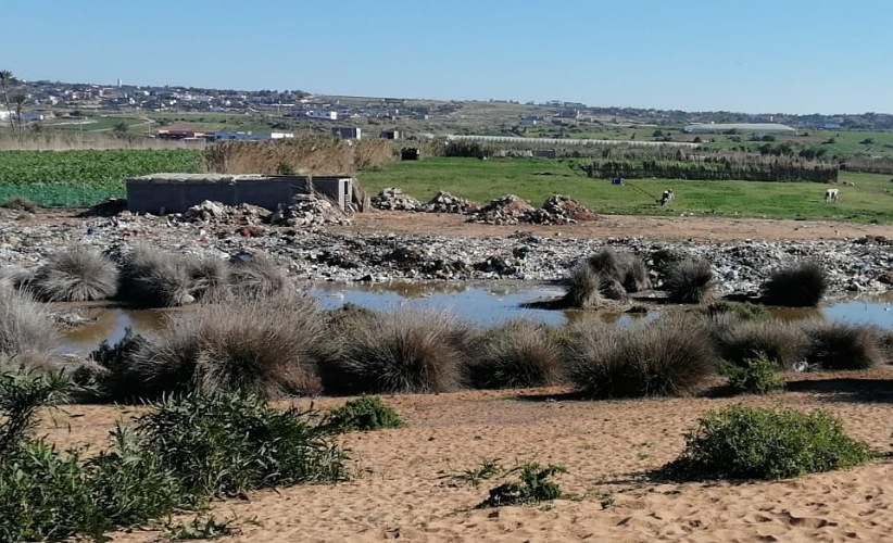 كارثة بيئية بالساحل الشاطئي بتراب جماعة اولاد غانم بإقليم الجديدة