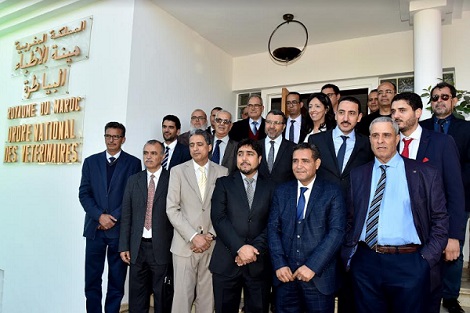 الهيئة الوطنية للأطباء البياطرة بالمغرب تدعم صندوق جائحة كورونا بمليون ومنتي ألف درهم