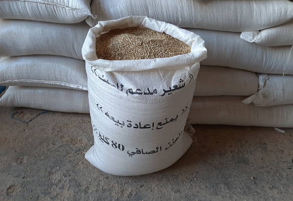 استفادة منطقة دكالة من حصة 60 ألف قنطار من الشعير المدعم لفائدة مربي الماشية