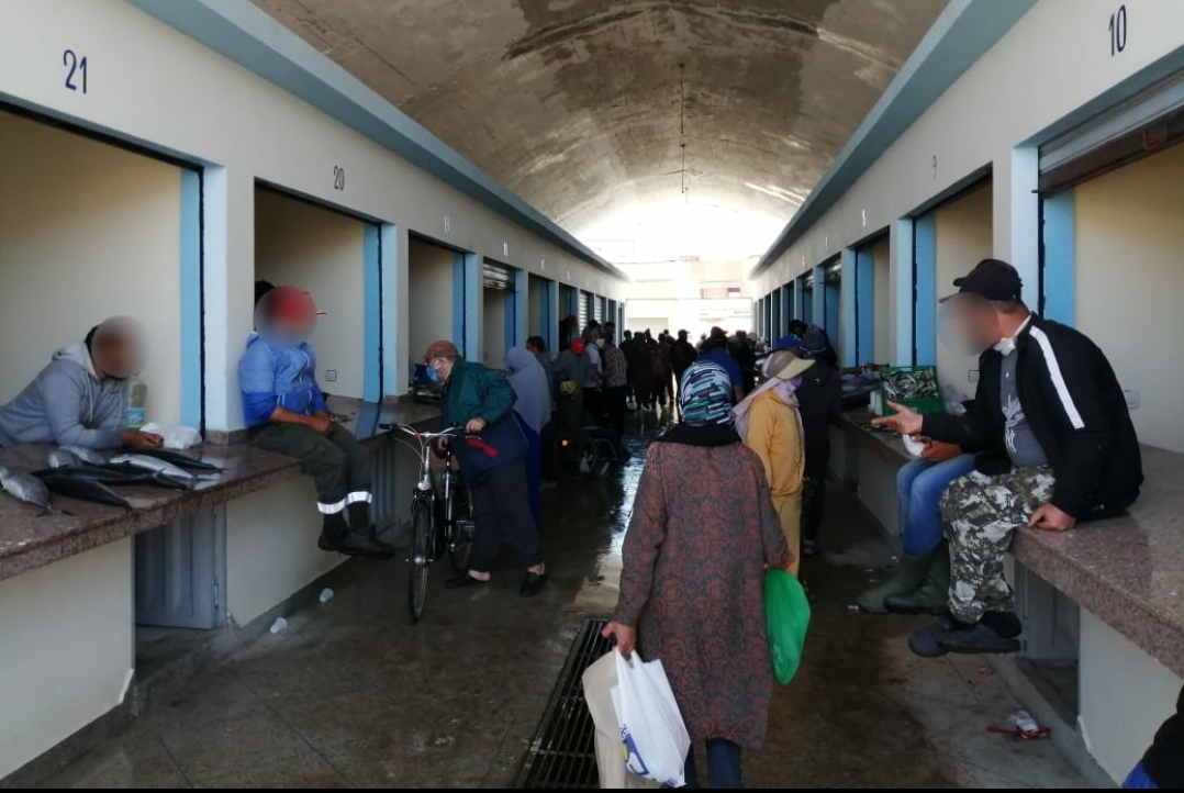 الاعلان عن فوز جمعية بائعي السمك بسوق لالة زهرة بصفقة كراء محلات سوق السمك لالة زهرة بالجديدة