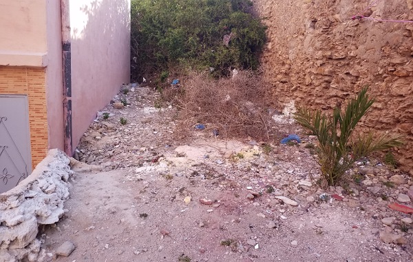 سكان حي القصبة بمدينة أزمور يشتكون من انتشار ''الطوبا'' والحشرات