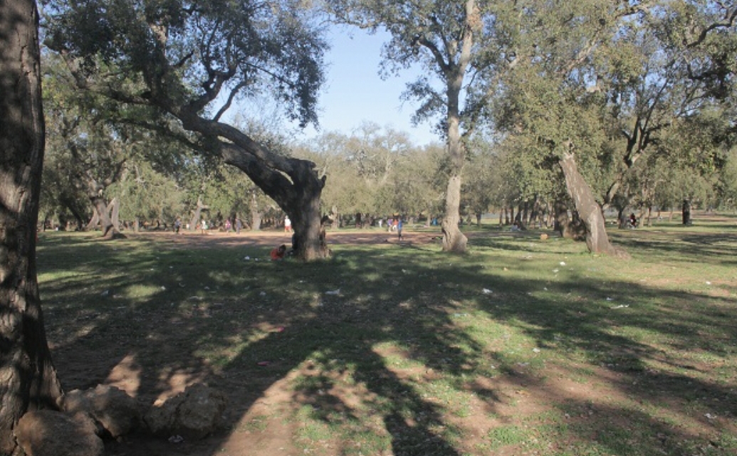 إيقاف عدة أشخاص بجماعة لغديرة وجماعة المهارزة الساحل بتهمة خرق حالة الطوارىء الصحية