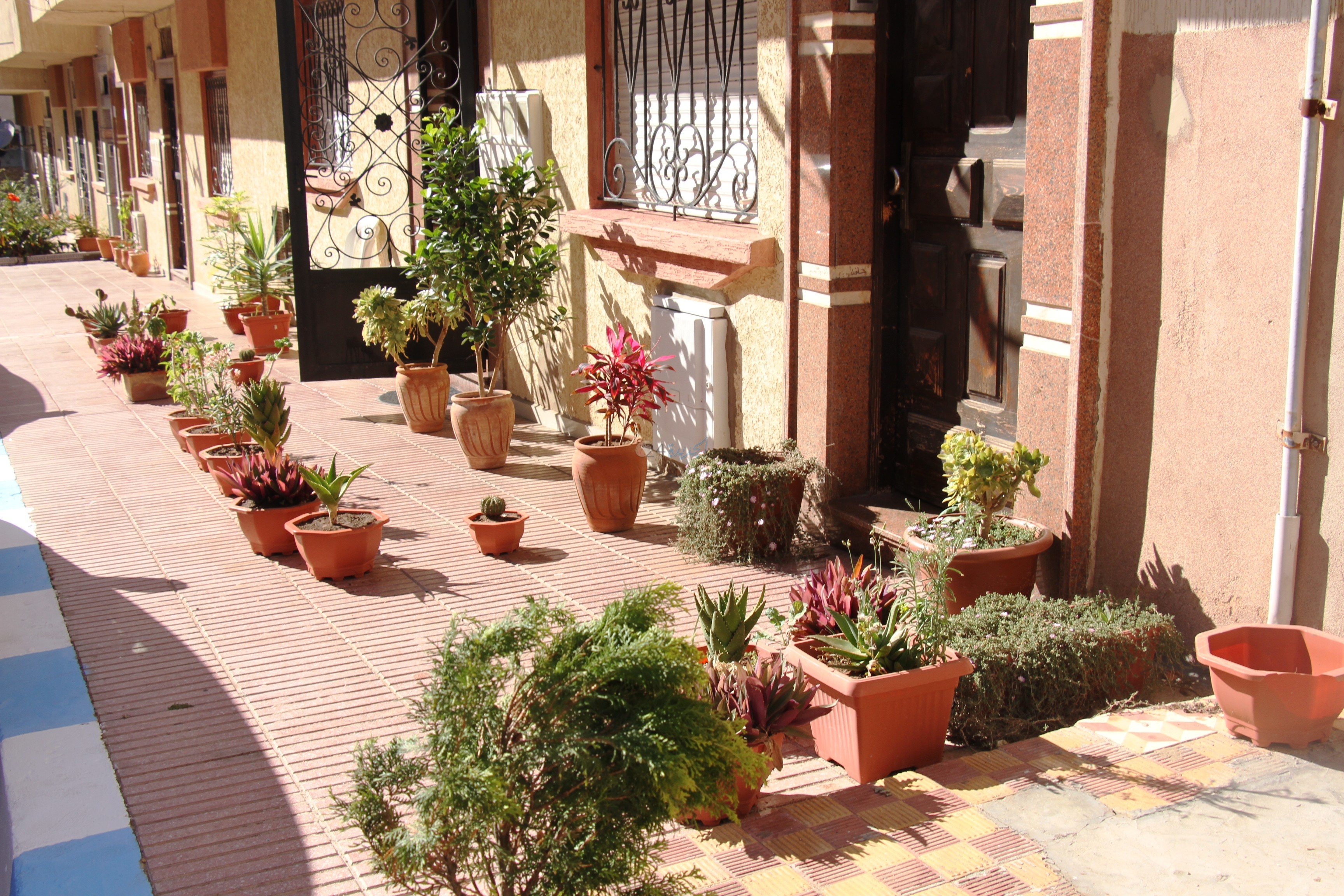 بادرة رائعة ... شباب يقومون بتنظيف و تزيين حيهم بالجديدة