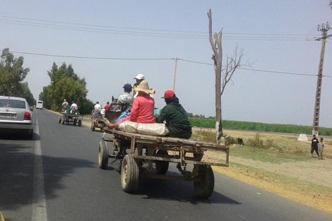 وفاة ثمانيني بجماعة اولاد رحمون بعد سقوطه من عربة مجرورة بحصان