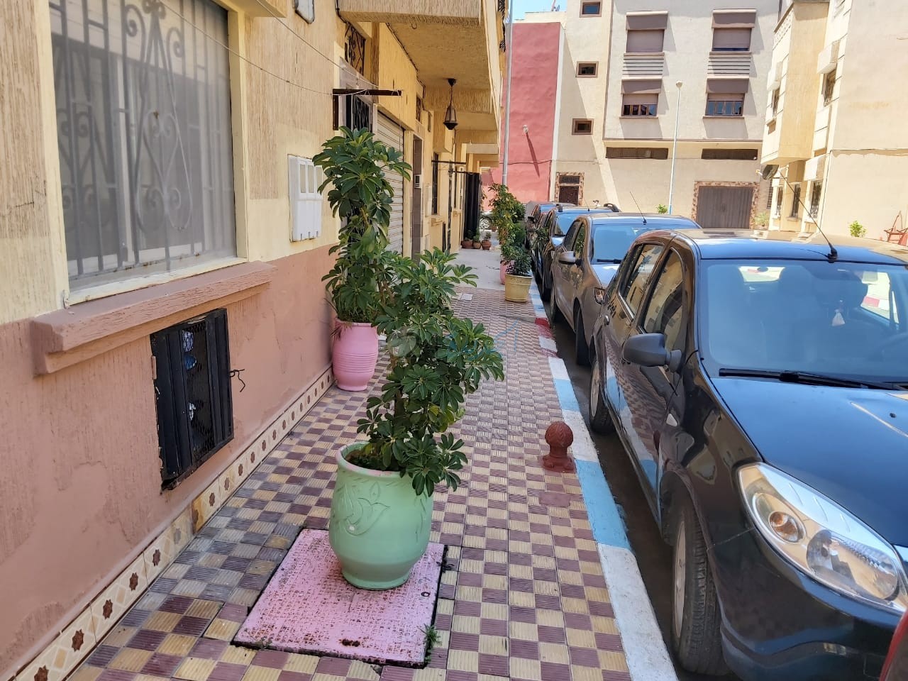 جمعية الجورة لحي فدان الشيخ بالجديدة  تحول الحي إلى لوحة  فنية