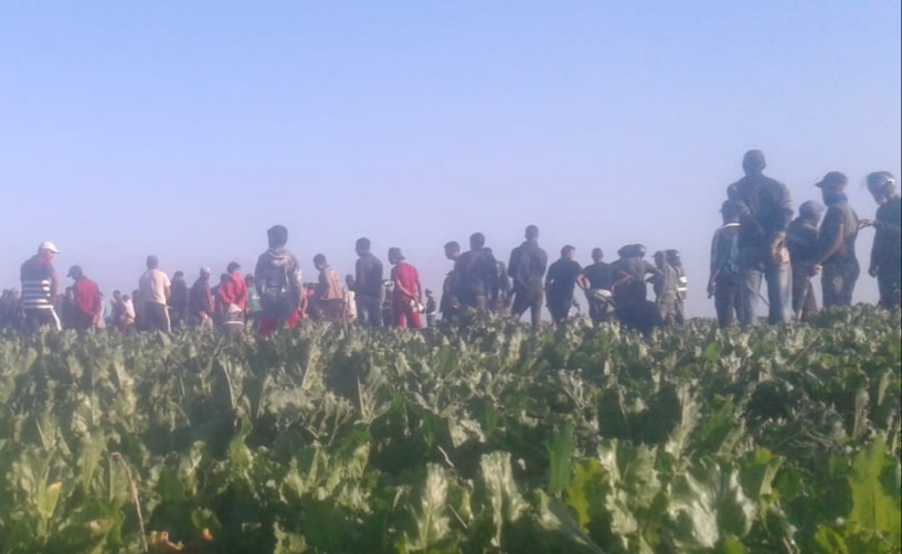 بعد اجتماع صلح بين الطرفين.. هذا ما تم الاتفاق عليه بين الرعاة الصحراويين والفلاحين بمنطقة دكالة