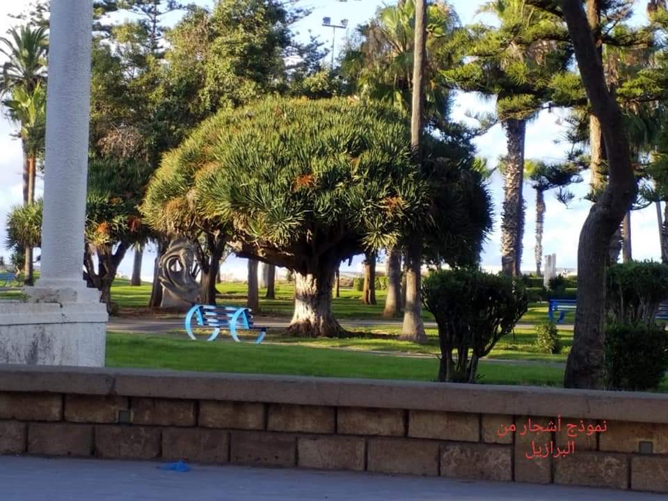 حديقة الملوك الثلاثة بالجديدة..  ذلك الماضي المجيد