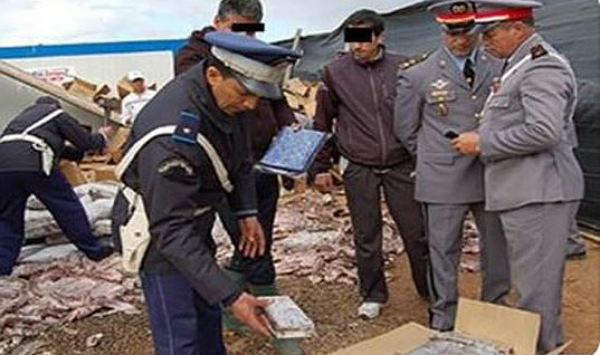 حجز كميات هامة والإطاحة بكبار المروجين في حملات تمشيطية واسعة   لتجفيف منابع الممنوعات  بالزمامرة