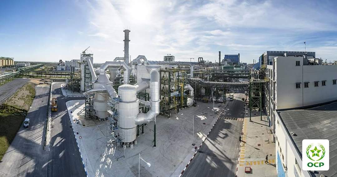 نتائج سلبية لجميع مخالطي الحالة المكتشفة لدى المستخدم الفوسفاطي بالجرف الاصفر